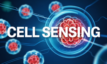 CellSensing.com - Creative brandable domain for sale